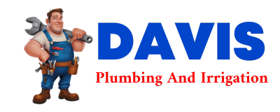 Trusted plumber in VILAS